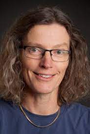 Анне Свердруп-Тайґесон Анне Свердруп-Тайґесон