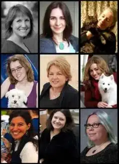 Ерін Гантер Ерін Гантер