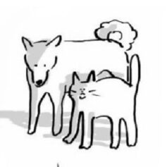 Вака Хірако Вака Хірако